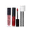 Drama Shine Lipgloss + Velvet Matte Long-lasting Lipstick + Tip & Blend Perfect Lips Brush - (Combo Pack Offer) - Face Of Dee
